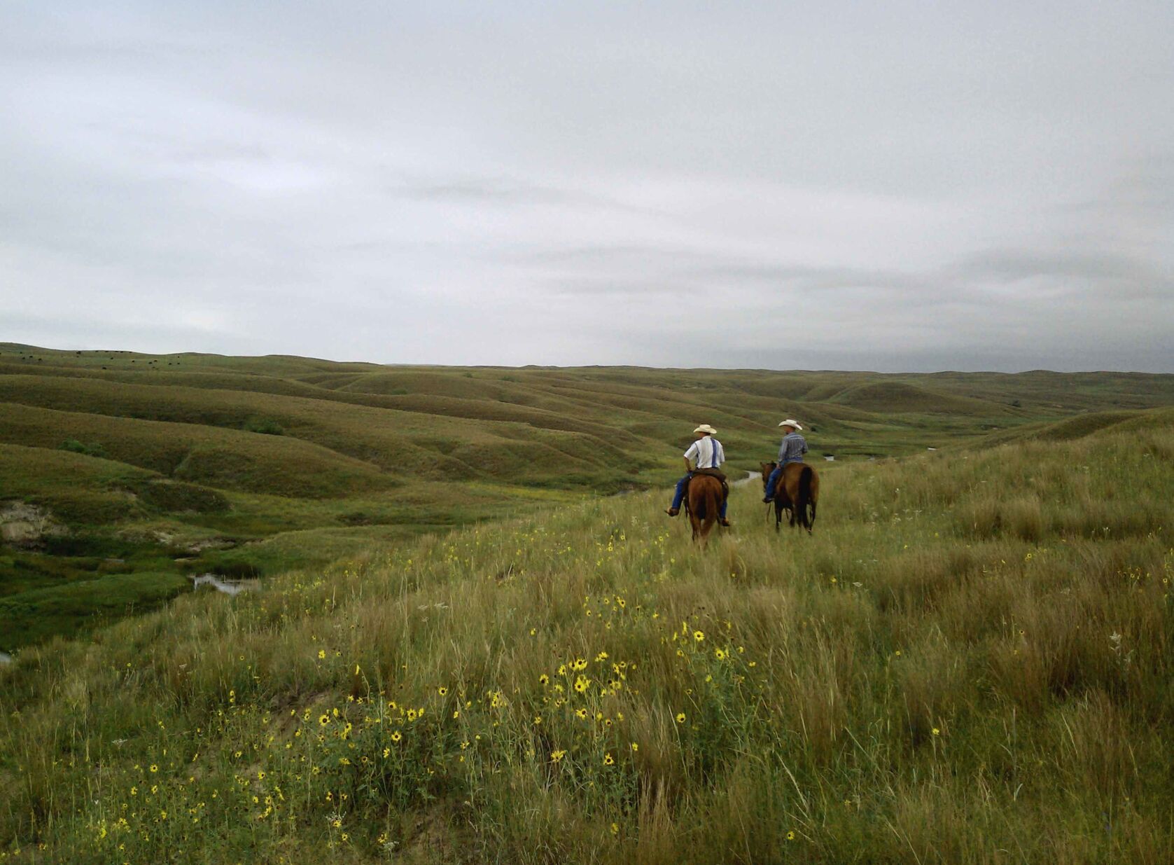 Sandhills Task Force (3).tif